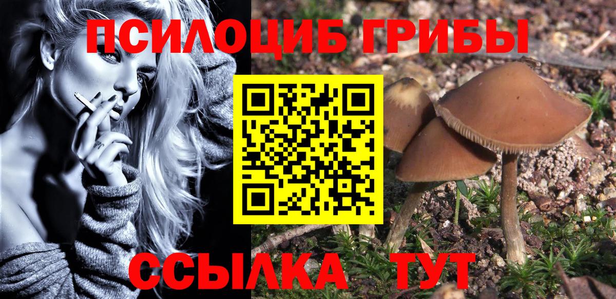 цены   Вход с VPN  Лениногорск  Псилоцибиновые грибы ЛСД 
