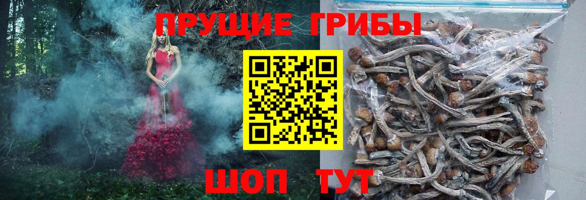 Галлюциногенные грибы MAGIC MUSHROOMS Лениногорск